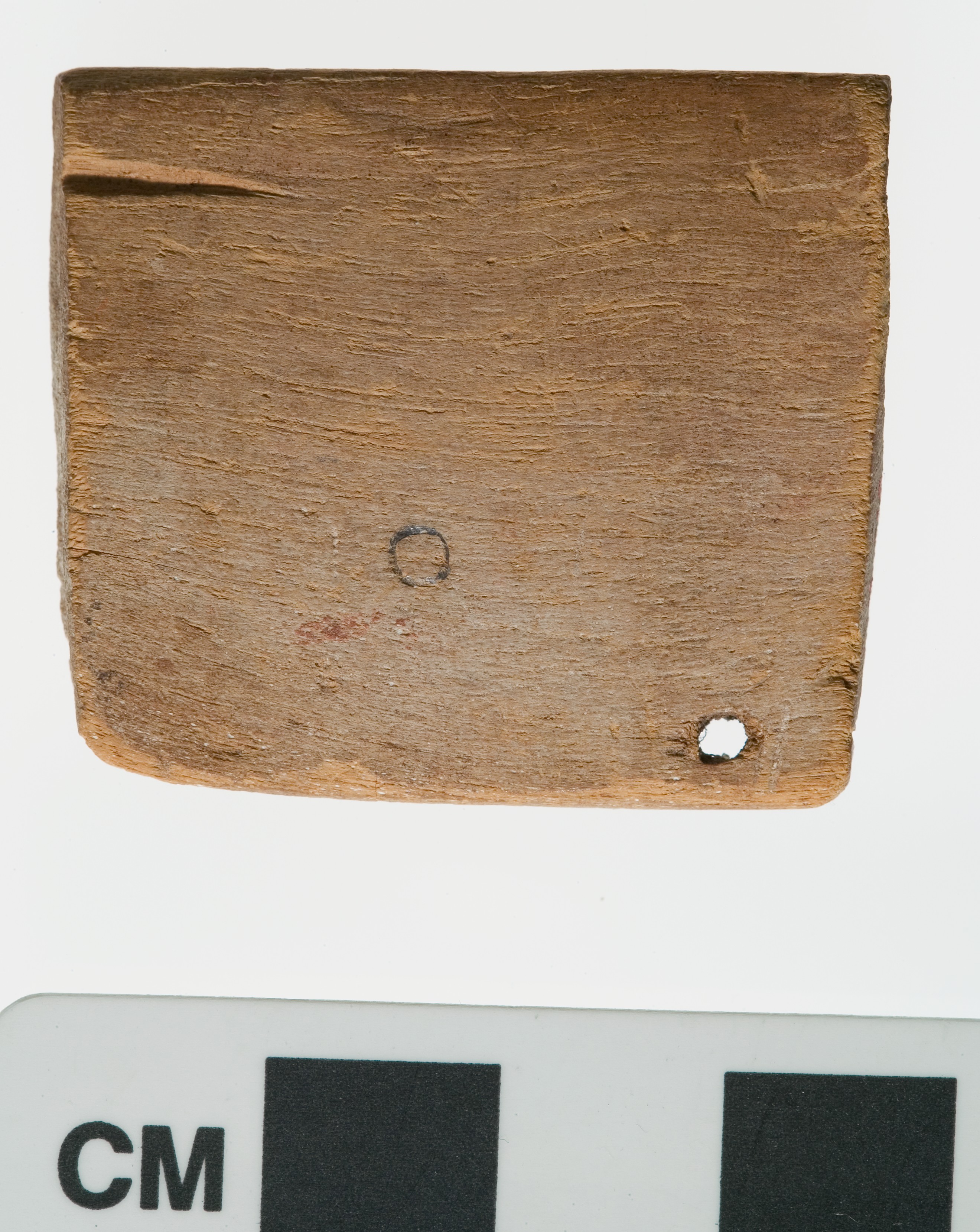 Ivory label incised with an early hieroglyph that may be the image of a ...