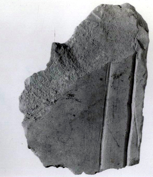 Relief fragment, tomb of Meketre