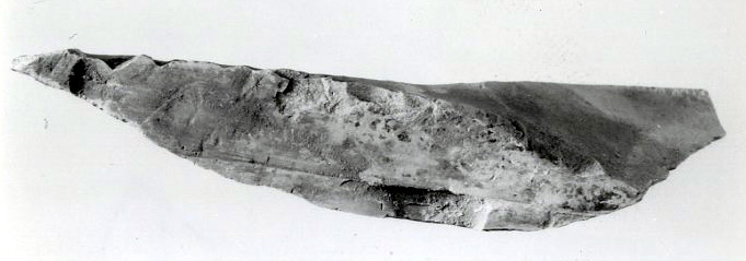 Relief fragment, tomb of Meketre