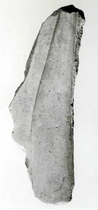 Relief fragment, tomb of Meketre