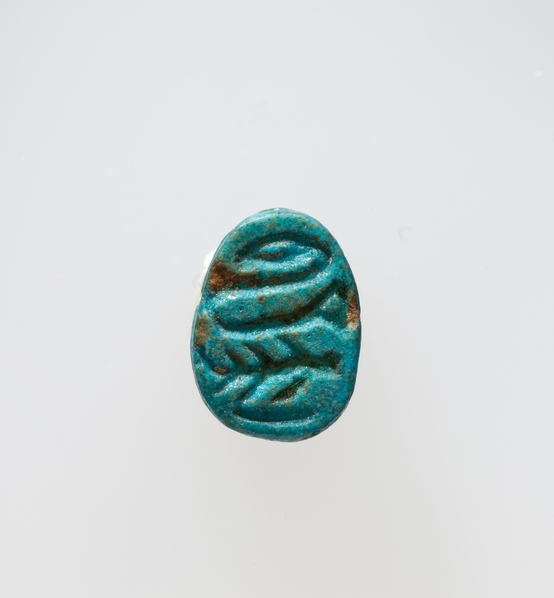 Scarab