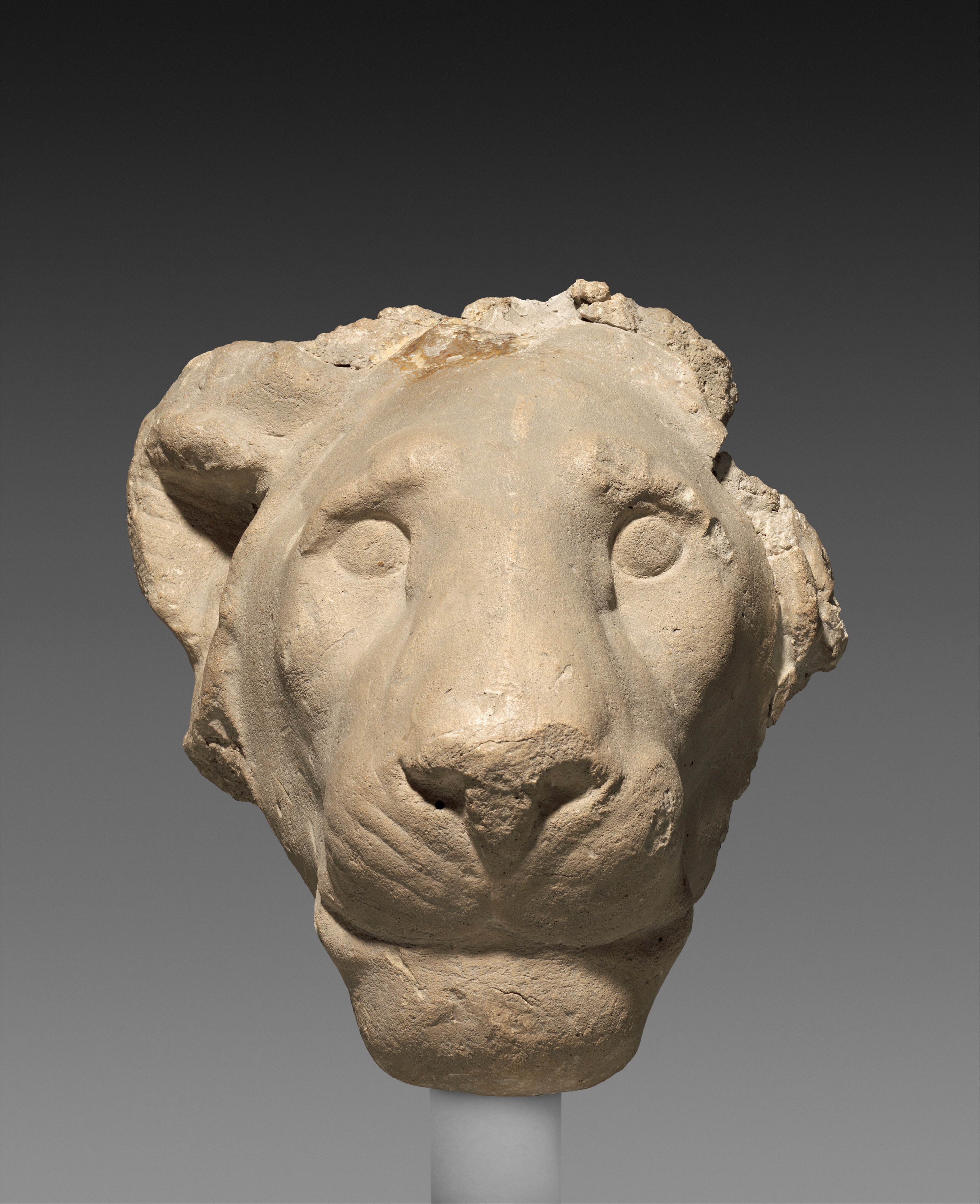 Lion Head sculpture foam to clay, Here is the final progres…