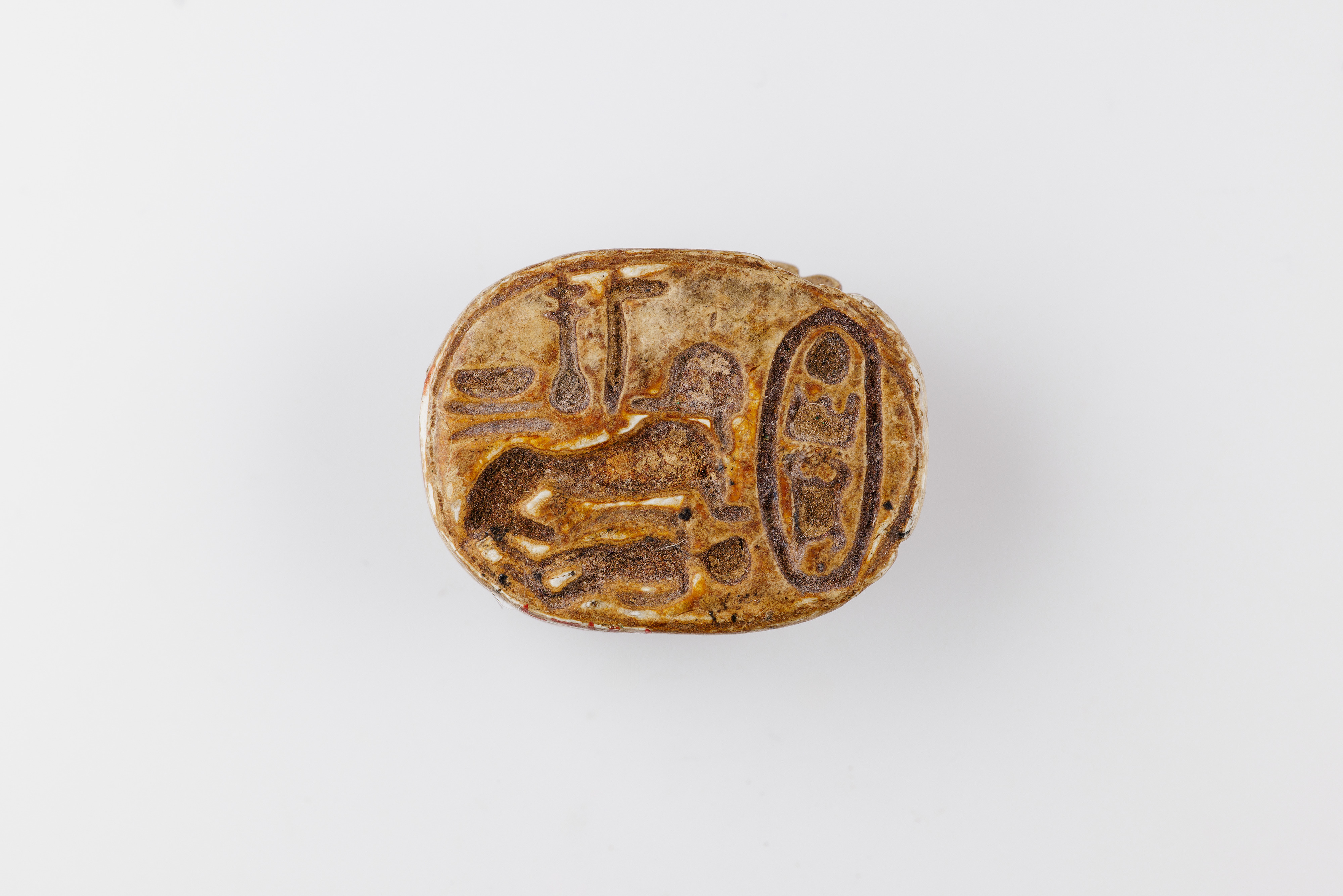 Scarab