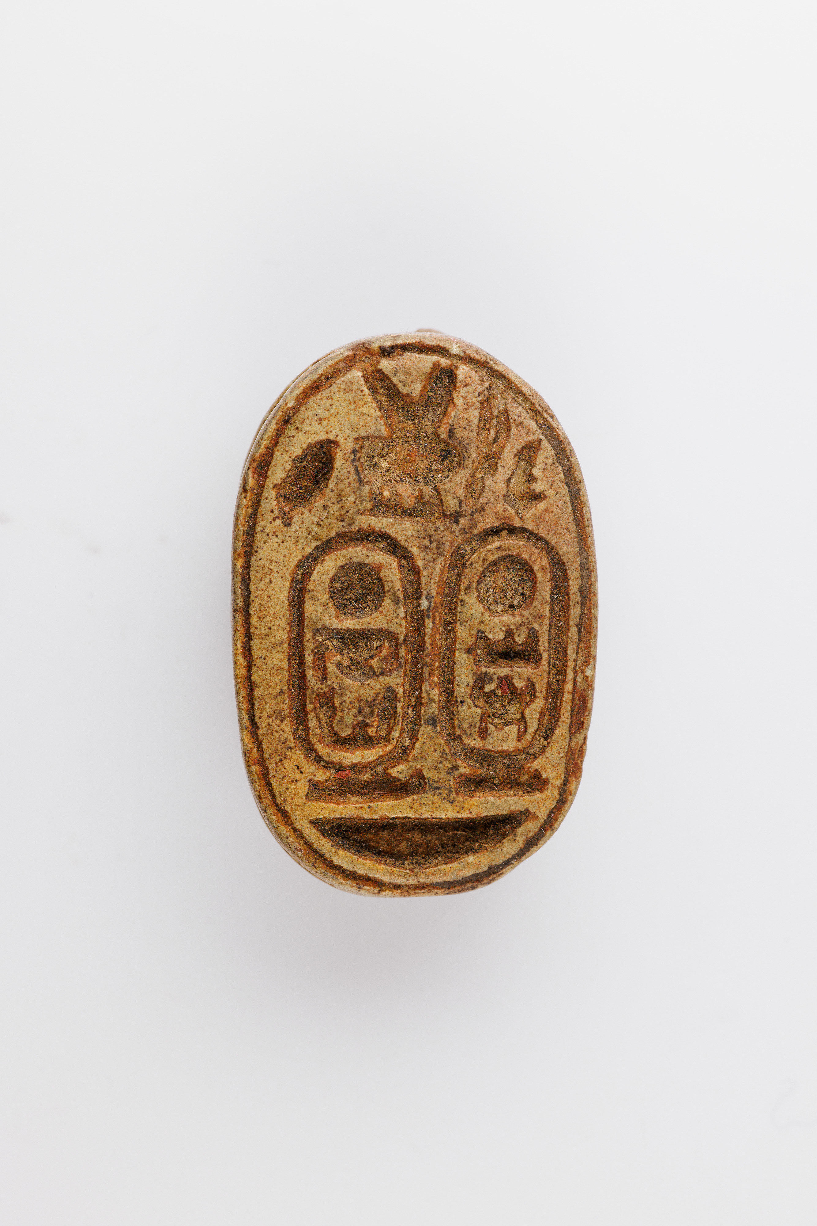Scarab