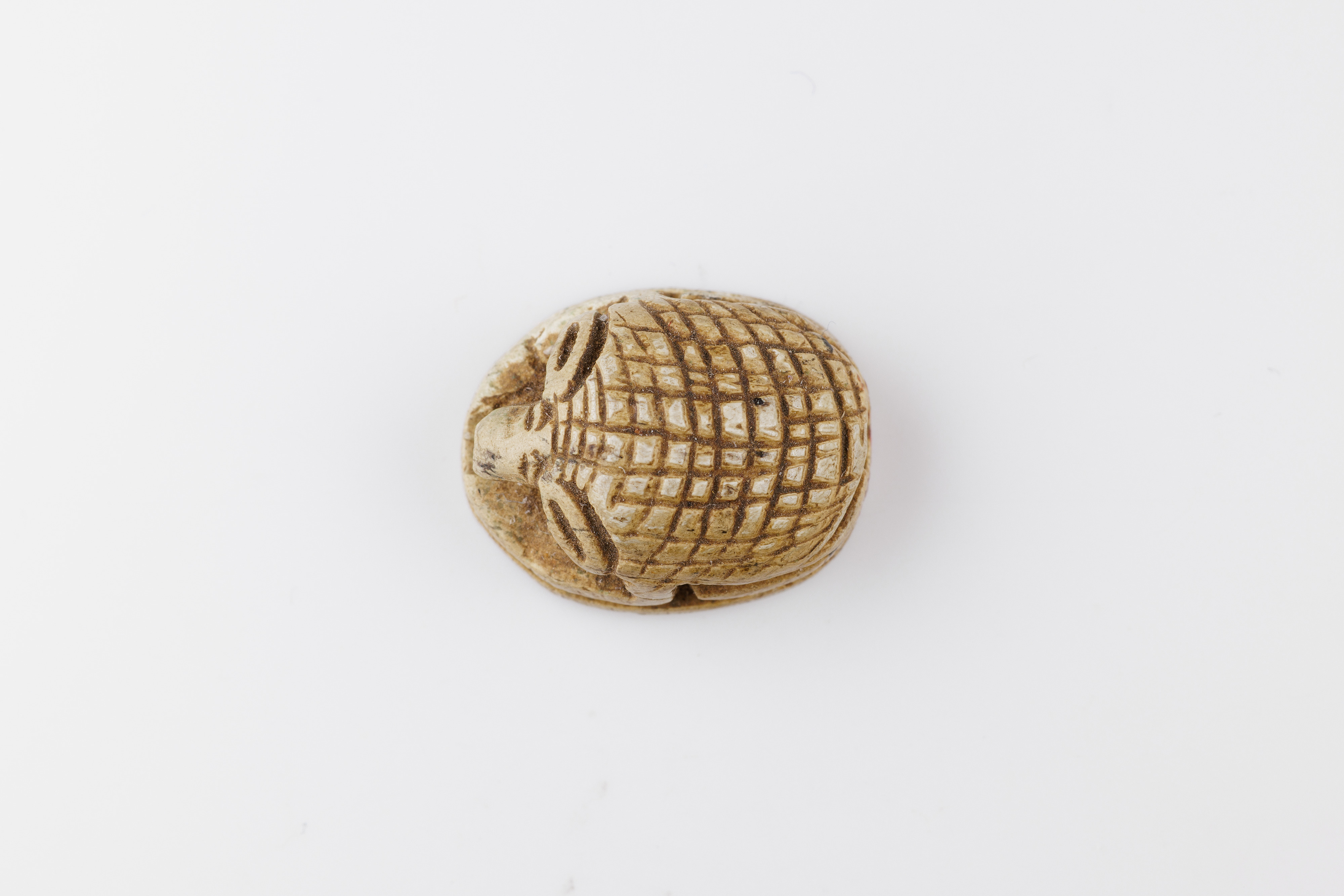 Scarab