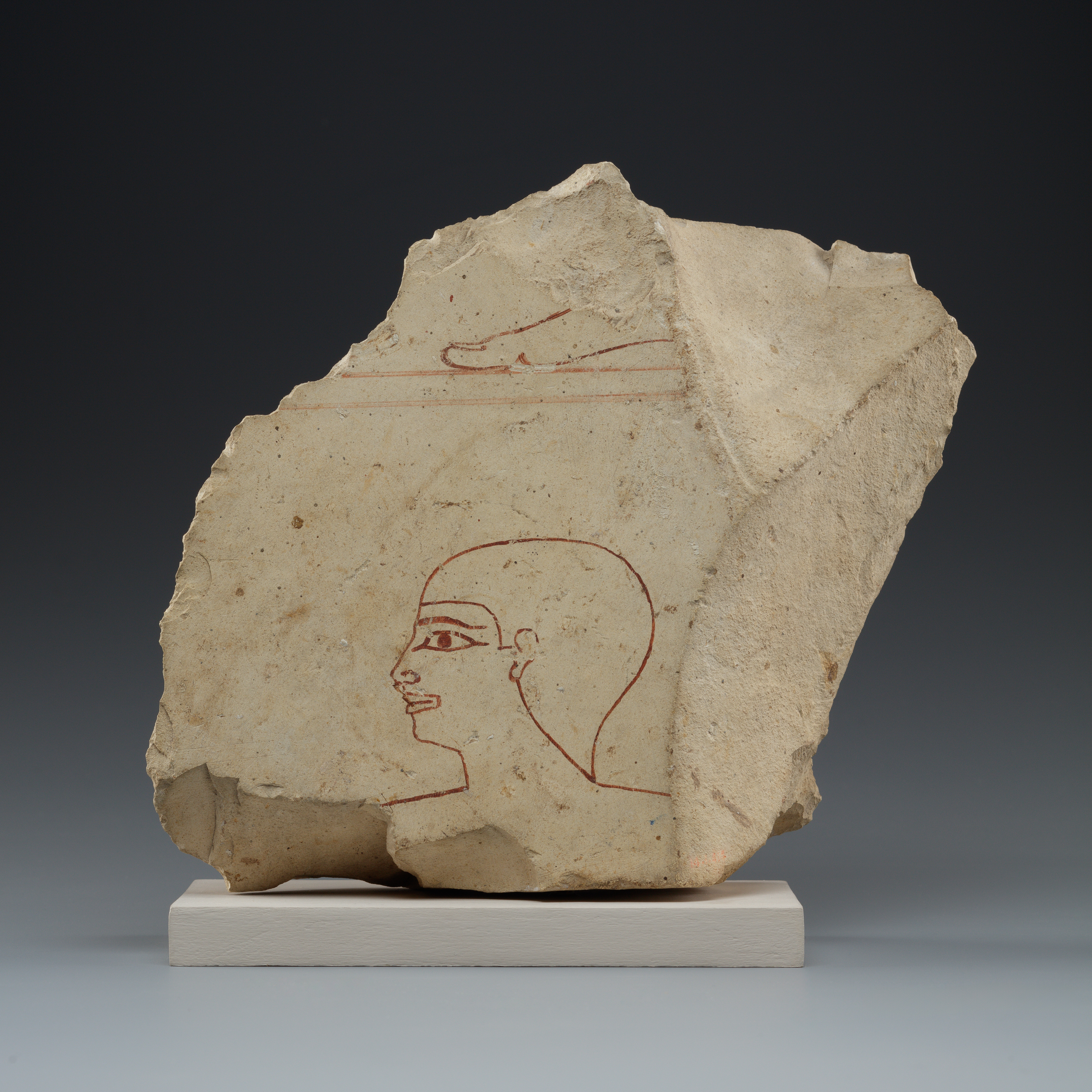 Preliminary drawing of a head and foot