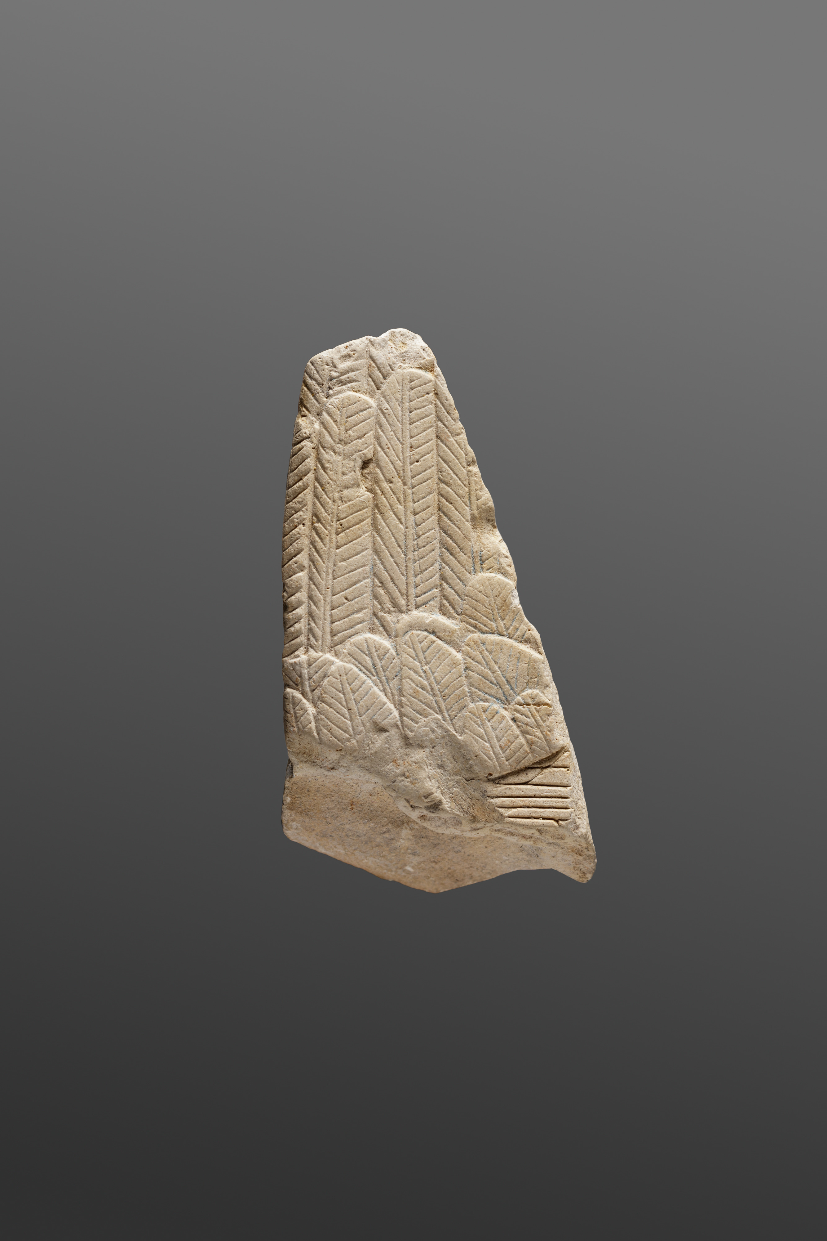 Relief from the tomb of Neferu showing part of a bird - see 26.3.353*; 31.3.1-1