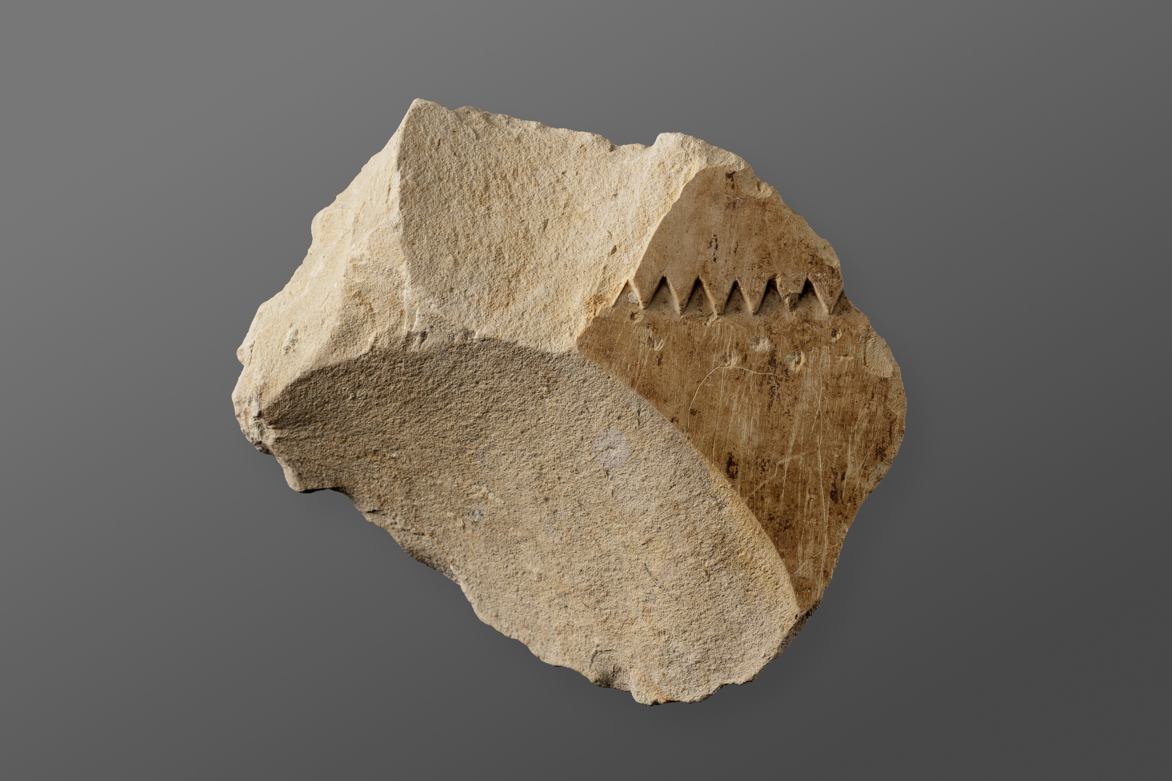 Relief showing part of a sunshade
