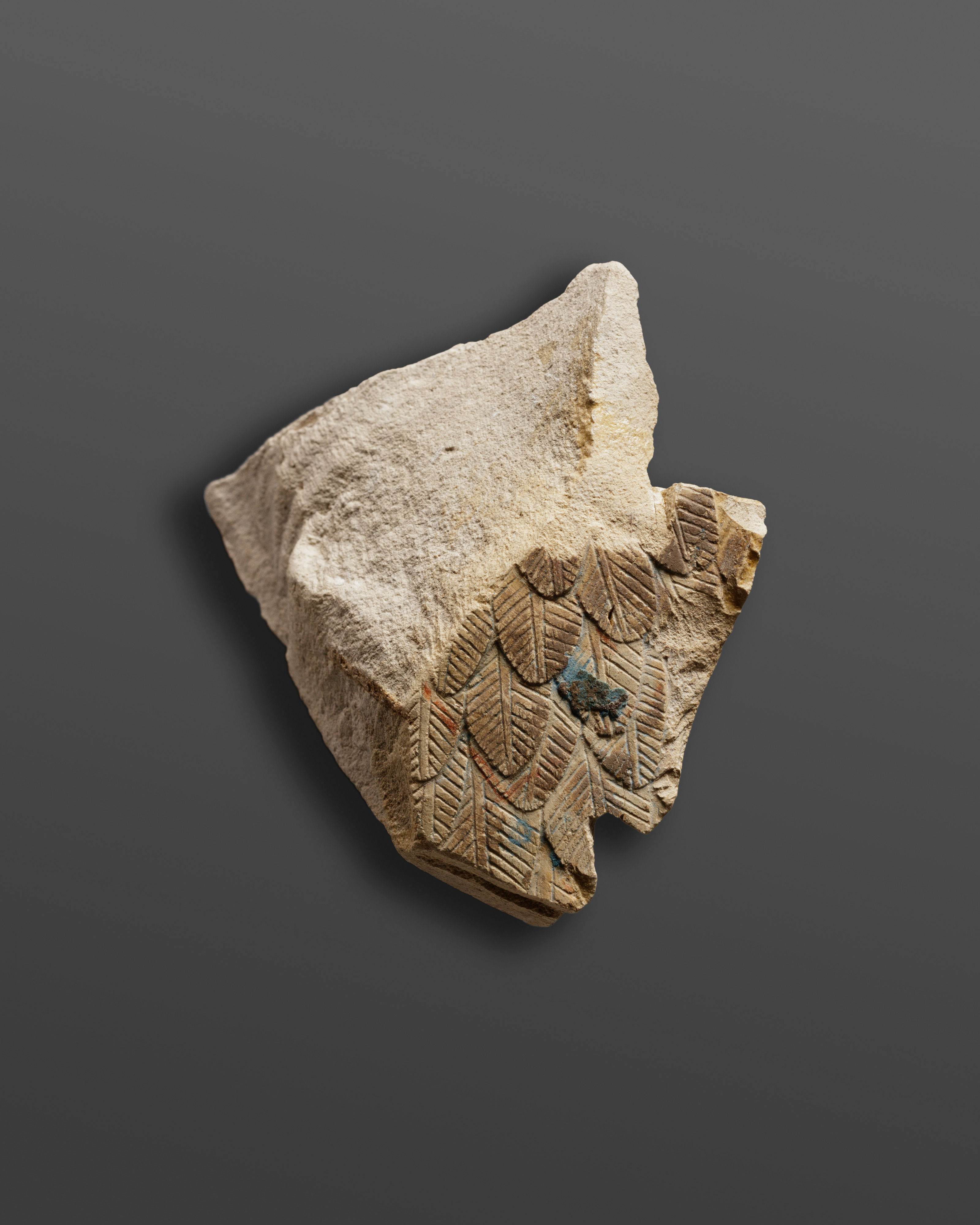 Relief fragment with feathers - see 26.3.353*, 31.3.1-1