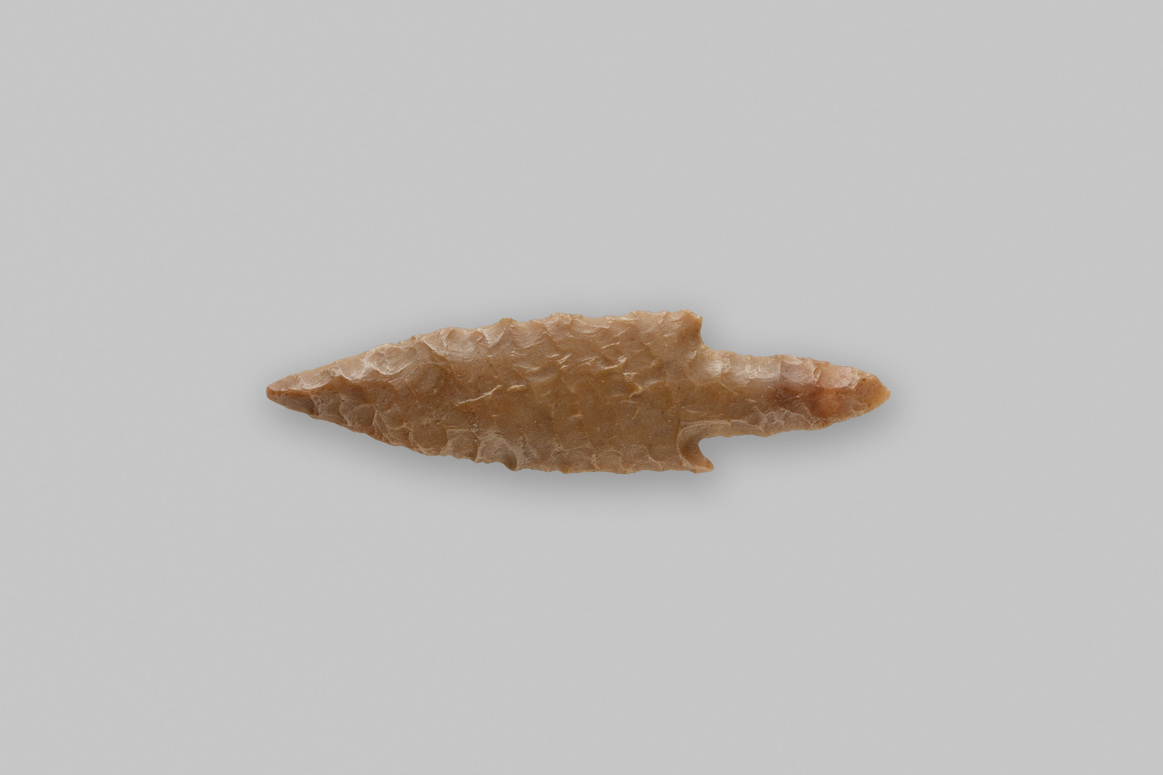 Projectile Point