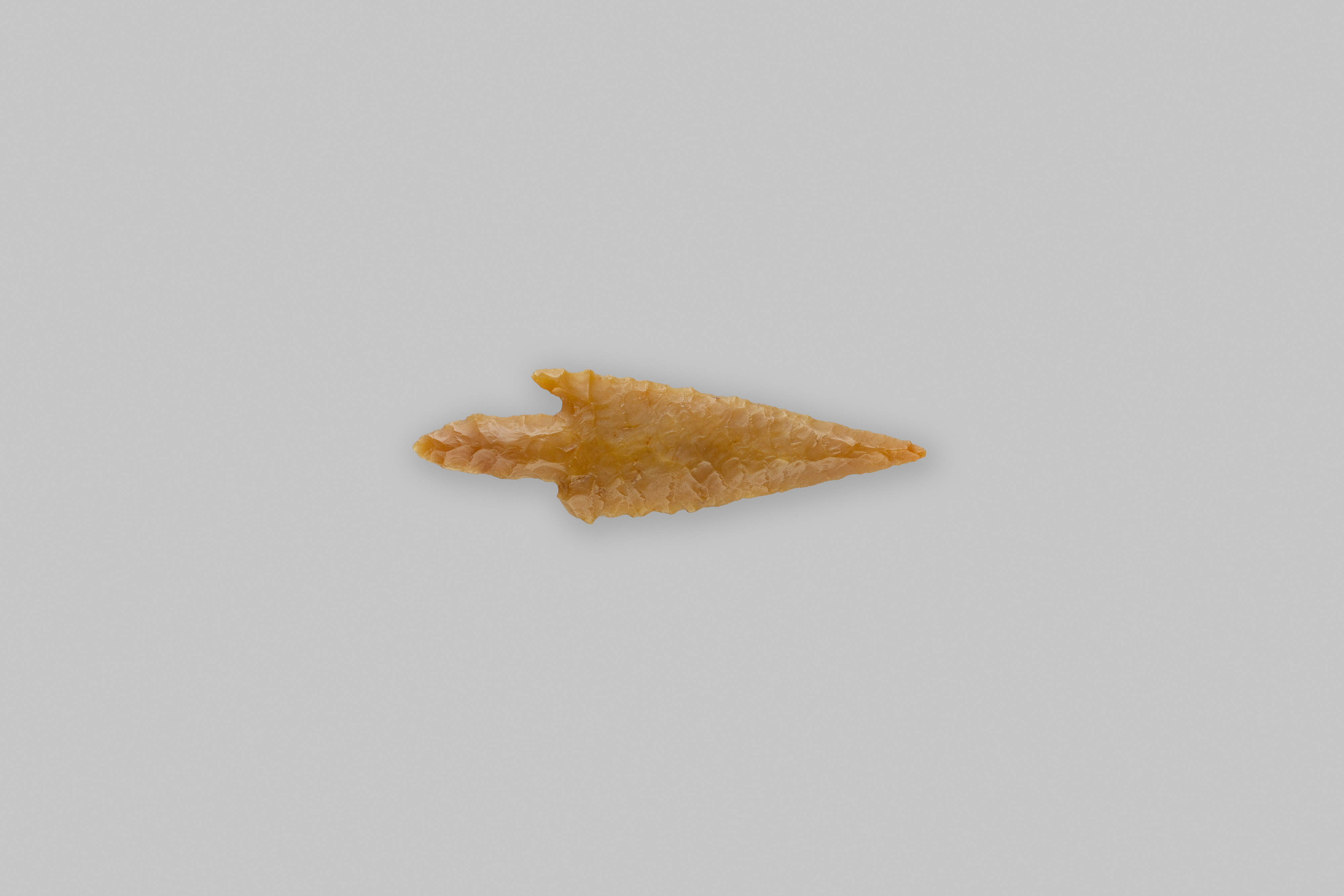 Projectile Point