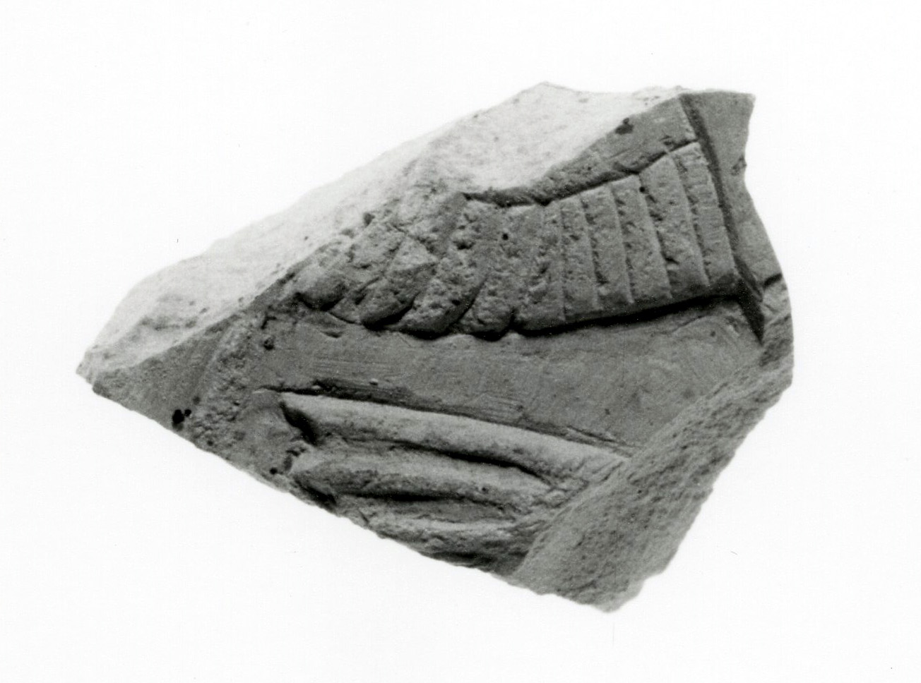 Raised relief fragment | Late Period, Saite | The Metropolitan Museum ...