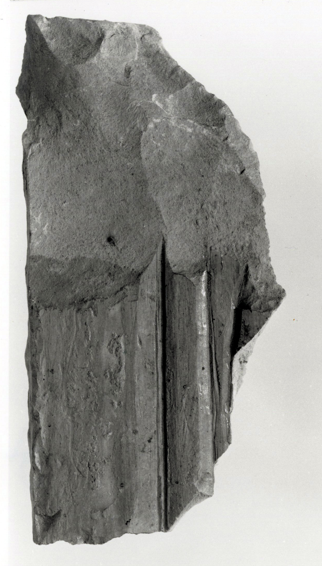 Raised relief fragment
