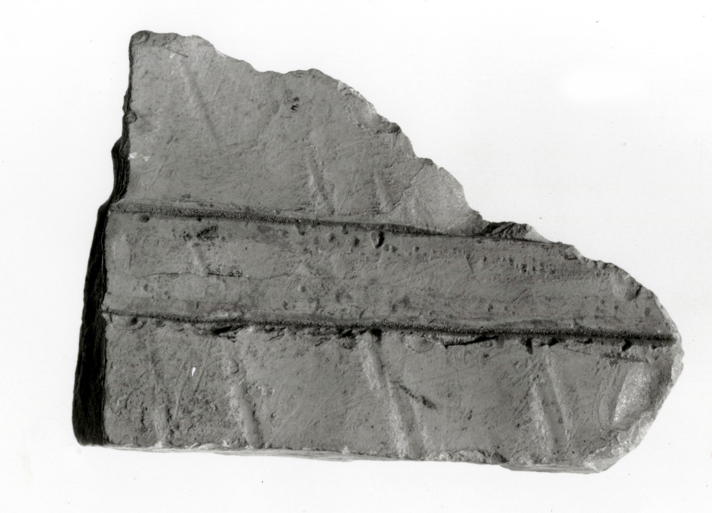 Raised relief fragment