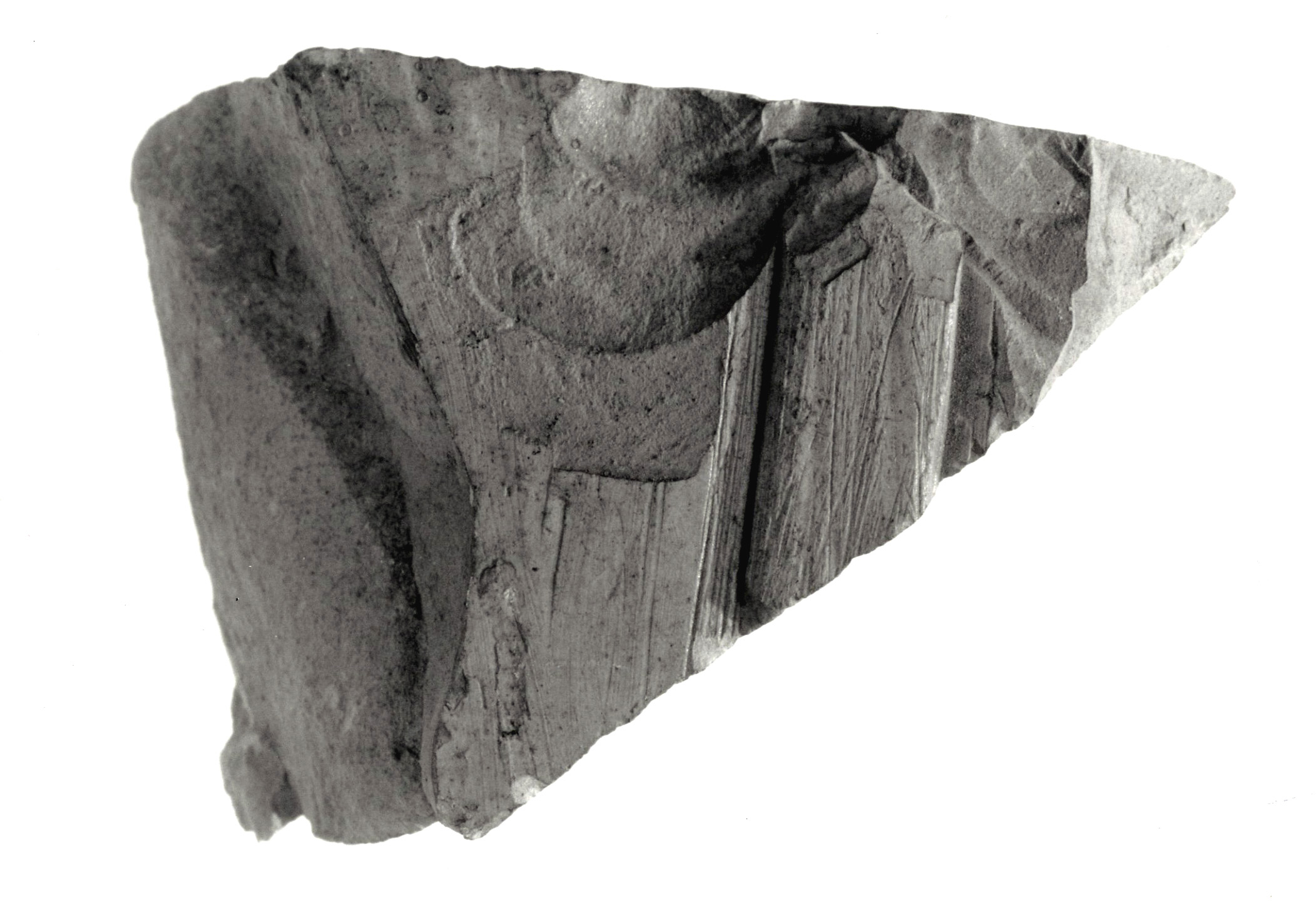Raised relief fragment