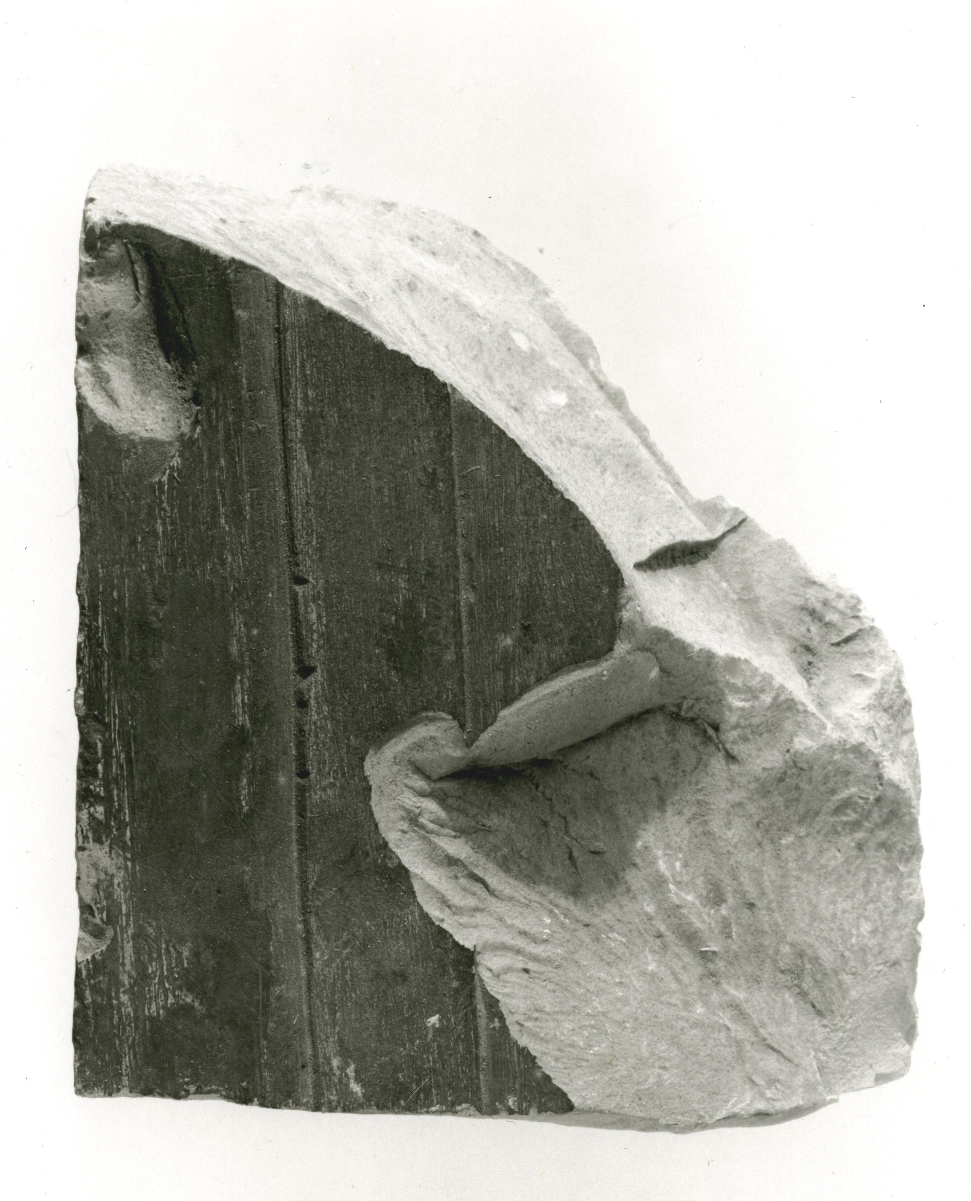 Raised relief fragment