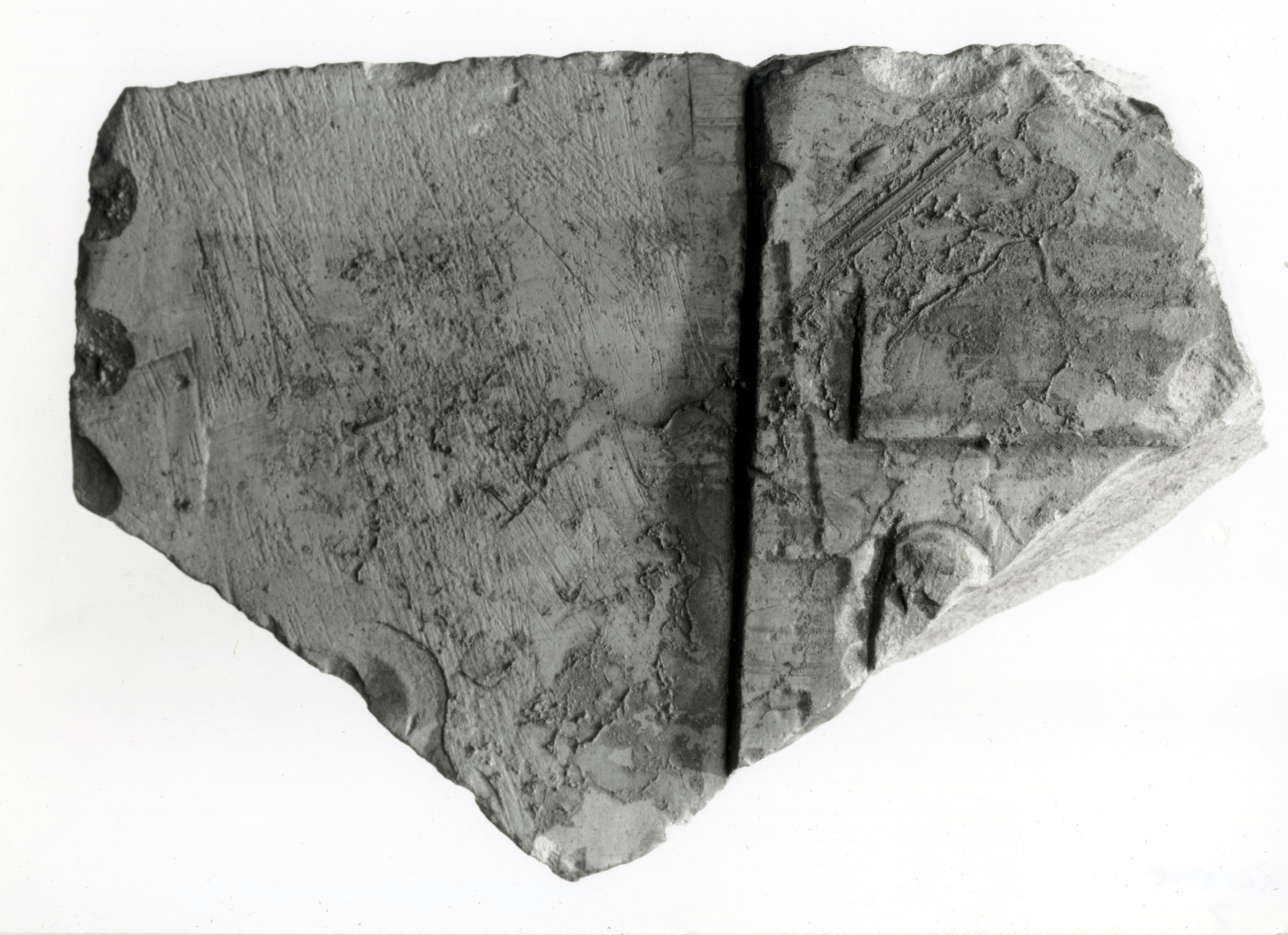 Raised relief fragment