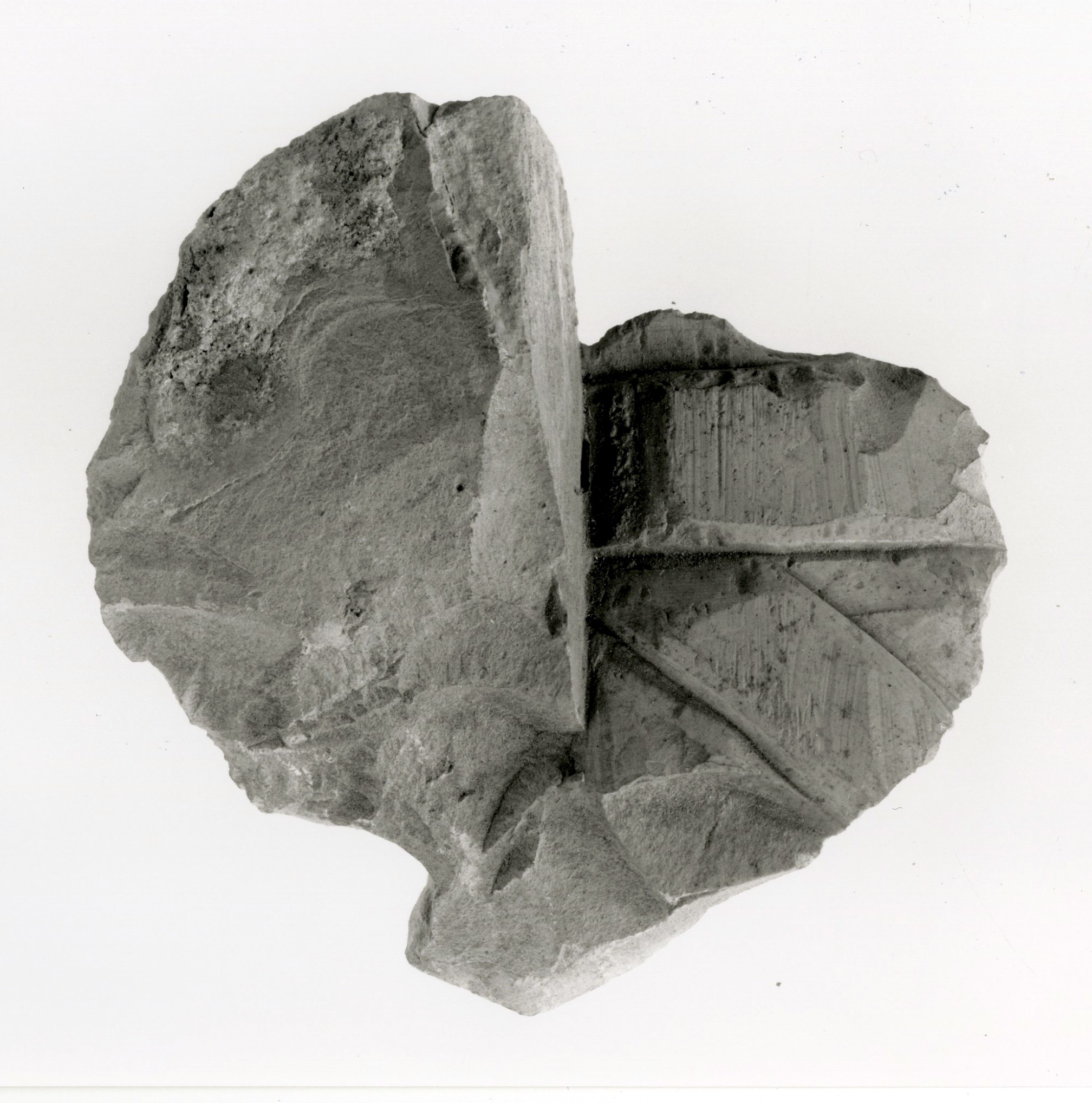 Raised relief fragment
