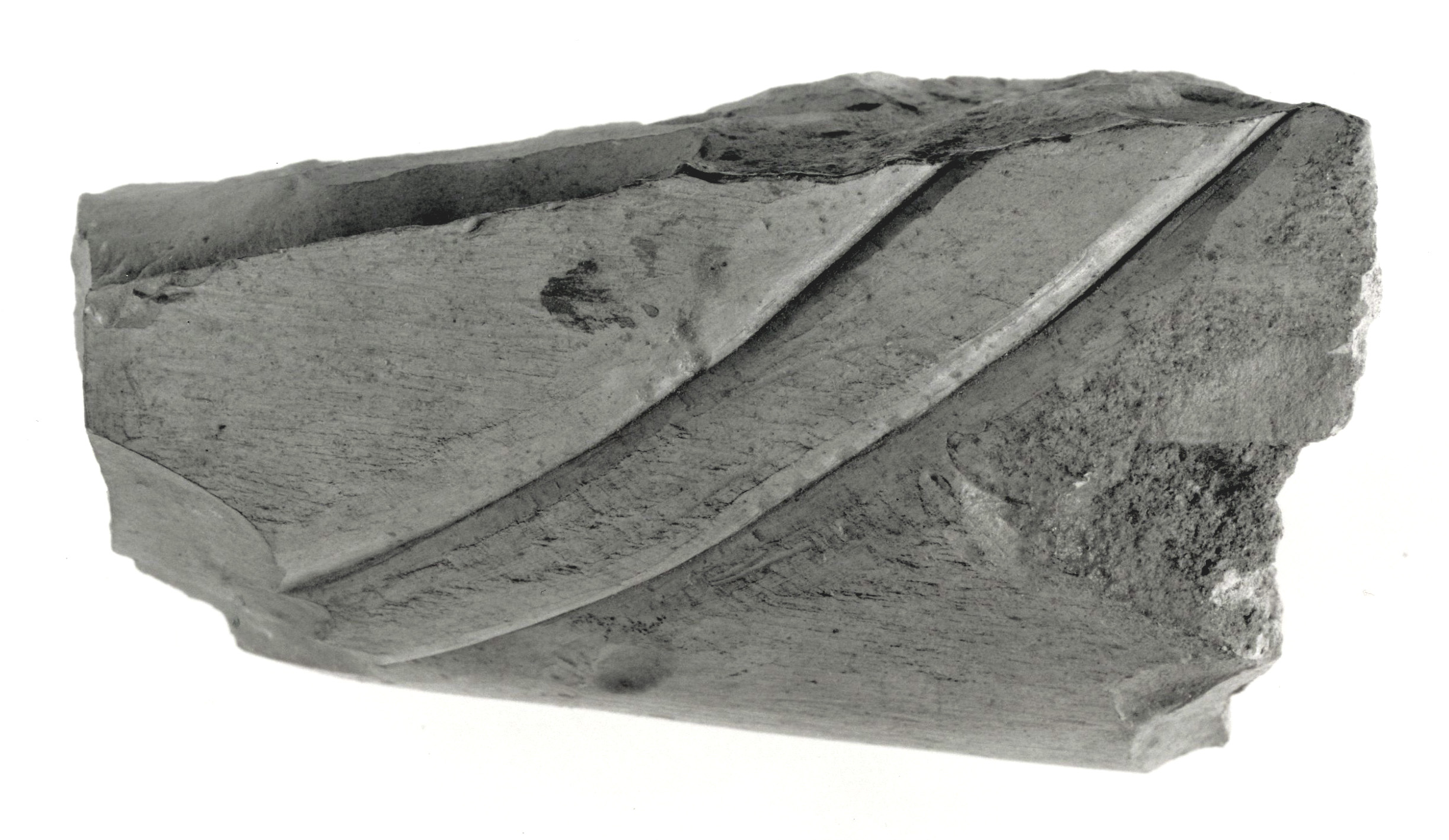 Raised relief fragment