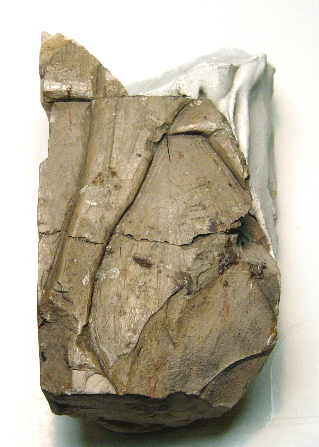 Raised relief fragment