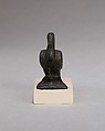 Ibis, Cupreous metal