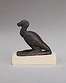 Ibis, Cupreous metal