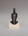 Ibis, Cupreous metal