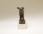 Apis, Cupreous metal
