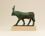 Apis, Cupreous metal