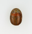 Scarab Inscribed for Thutmose I, Steatite (glazed)