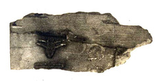 Fragment of an ivory tag, Ivory