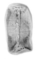 Seal impression, Clay