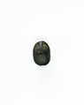 Scarab with Papyrus and Beetle, Faience