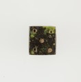Die, Serpentinite?