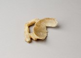 Cosmetic spoon with feline handle, Travertine (Egyptian alabaster)
