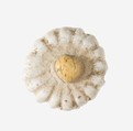 Daisy Pendant, Faience