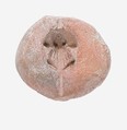 Frog Mold, Pottery