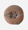 Frog Mold, Pottery