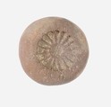 Small Daisy Mold, Pottery
