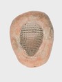 Mold for a Grape Inlay, Pottery