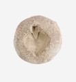 Mold for Persea Fruit bead, Pottery