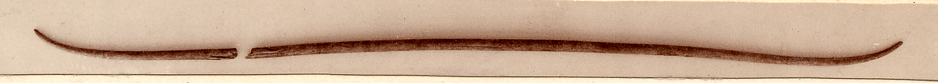 Bow, Wood
