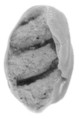 Sealing, Clay (unfired)