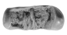 Sealing, Clay (unfired)