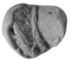 Sealing, Clay (unfired)