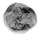 Sealing, Clay (unfired)