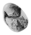Sealing, Clay (unfired)