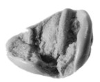 Sealing, Clay (unfired)