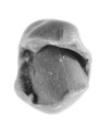 Sealing, Clay (unfired)