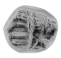 Sealing, Clay (unfired)